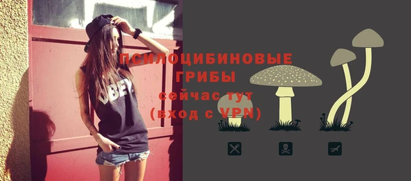 прущие крисы Алзамай