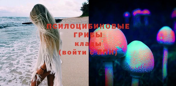 прущие крисы Алзамай