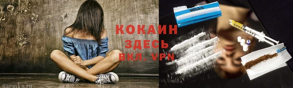 прущие крисы Алзамай