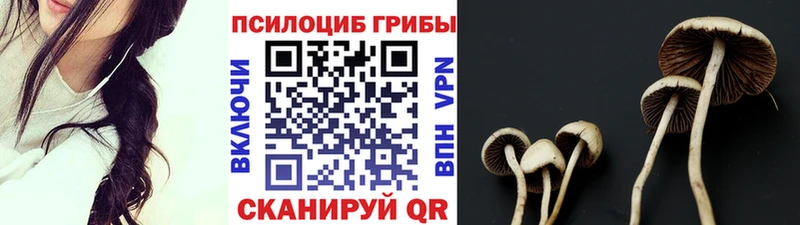 Псилоцибиновые грибы ЛСД  kraken рабочий сайт  Петухово 