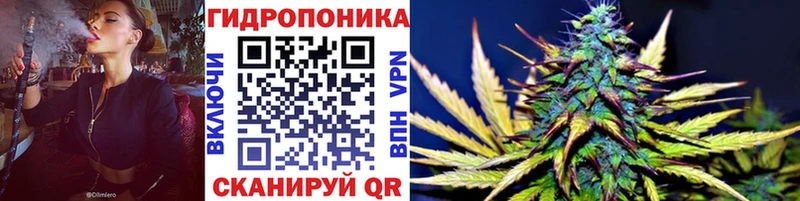 даркнет сайт  Петухово  Конопля сатива 